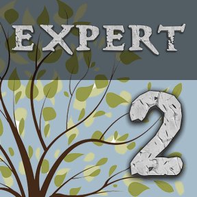 Enigmatica 2: Expert Logo